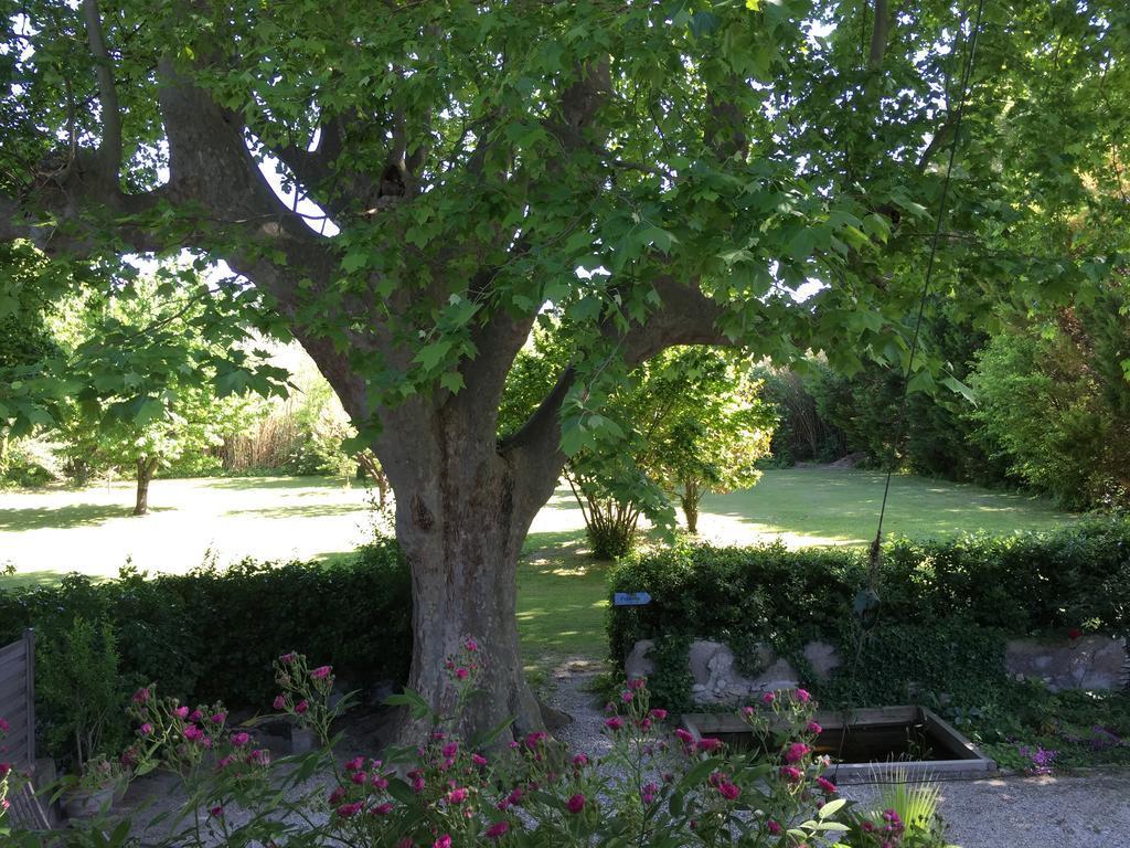Bed and Breakfast Montjoia LʼIsle-sur-la-Sorgue Zewnętrze zdjęcie